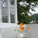 팔레트스튜디오 이미지