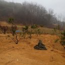 정원2농장 이미지