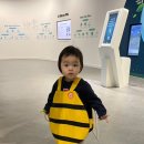 드루와24 이미지