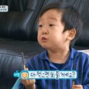 진타이 이미지