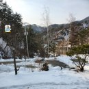 강원도 캠핑장 홍천 알지캠프266 담백후기
