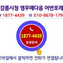 더강릉포레 이미지