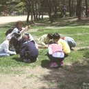 더온새미