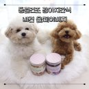 비견 | 강아지간식 추천 동결건조 베지간식 비견 올데이베지 후기