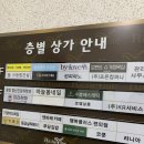 성사진관 | 인계동사진관 블루라잇에서 반려견사진촬영 대만족한 솔직후기