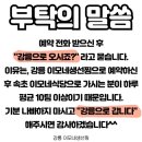 강릉 맛집 ‘이모네생선찜’ 가오리찜·대구뽈찜 후기 및 예약 꿀팁 총정리