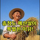 제주도서산간 11일 그외지역12일 마감합니다 이미지