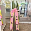 중리상곡로 | 창원 중리 강아지미용 꼼꼼하댕 다녀온 후기