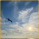 현대낚시 이미지