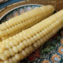 정영농장 이미지