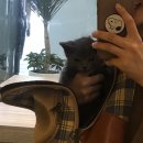 멍멍냐옹동물병원 이미지