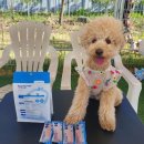 안덴탈랩 이미지