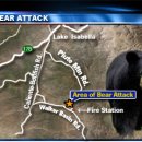 Kern woman mauled by bear in mountains east of Bakersfield~ 이미지