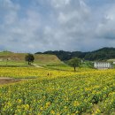 연천 호로고루 이미지