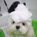 힝구샵