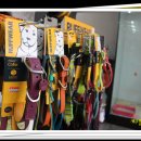 제주 헬로우펫 이미지