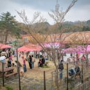 강릉동물병원 이미지