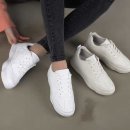트랜디19