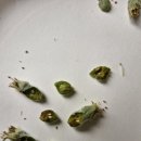 차량골농원 이미지