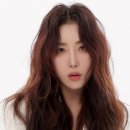 젤라 이미지