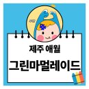 그린마멀레이드 이미지