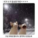 오티오커피