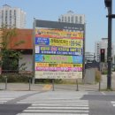 로로동물병원 이미지