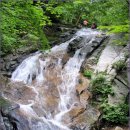 부일민박 이미지