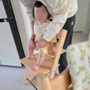 두줄ART | 연년생 육아템 돌돌트 뉴본까지 체감가 60만원대 구매