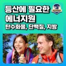 등산 도시락, 등산 행동식 준비 요령 1편(탄수화물, 단백질, 지방 에너지원 측면) 이미지