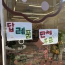 온 양과점 이미지