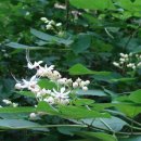 진덕사 석조약사불좌상 이미지