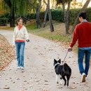 (주)비트러스트메디텍 이미지