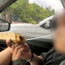 강원도 삼척 신남해수욕장 무료 노지 캠핑 차박 낚시 스노쿨링 화장실,취사,샤워O