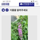 홍연2교 이미지