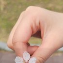 채유학원