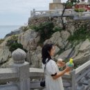 송정동 핫도그(해동용궁사점) 이미지