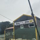 광주 애견무료입양 보호소 & 애견호텔 | 청주 유기견보호소 유기묘 입양 무료 강아지 고양이 분양 애견카페 괜찮아댕댕냥