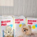 뭉치푸드 | 네이버펫바우처 사용방법, 혜택 등 앰버서더 3기 뭉치가 다 알려드릴게요