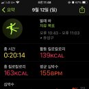 호레바 선생님 홈발레 후기