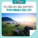[에너지여행-전라북도 고창] 역사, 체험, 바다, 힐링, 보양식까지… 뭐 하나 빼놓을 수 없는 그곳!