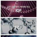 코코클릭 이미지