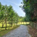 가파도민박 | 제주 혼여 소길별하에서의 힐링시간