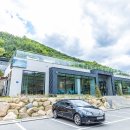 도화지오토캠핑장 이미지