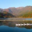 아름다운2태양광발전소 이미지