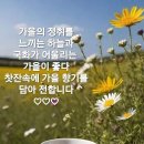 낭만포차한식점심부페 이미지