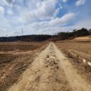 여주-0109 이미지