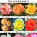 화신공판장 네이버블로그
