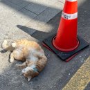 찬스 동전 노래연습장 이미지