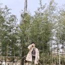 담양죽녹원국수 이미지